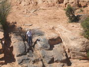 DSCF0552