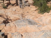 DSCF0553