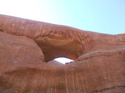 DSCF0561