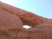 DSCF0562