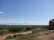 DSCF0569
