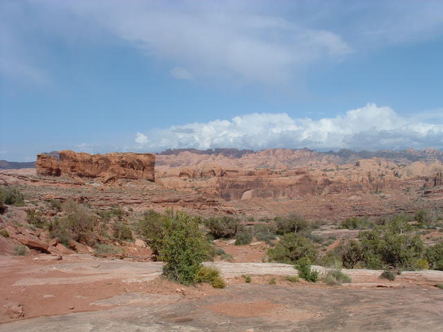 DSCF0021