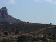 DSCF0023