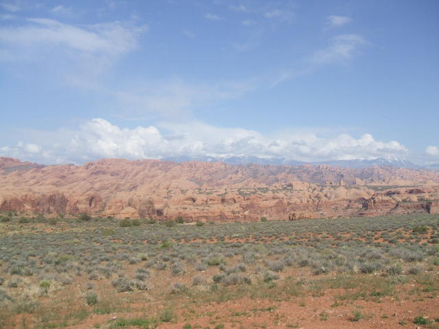 DSCF0371