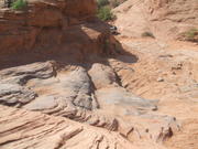 DSCF0408