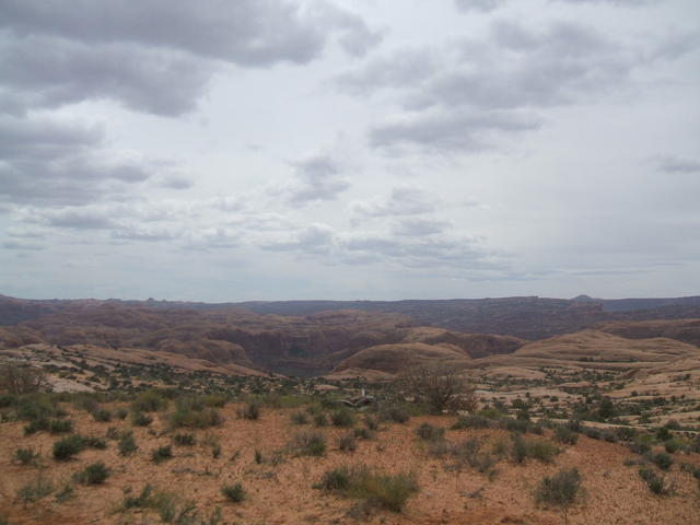 DSCF0428