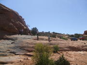 DSCF0530