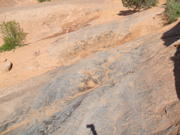DSCF0536