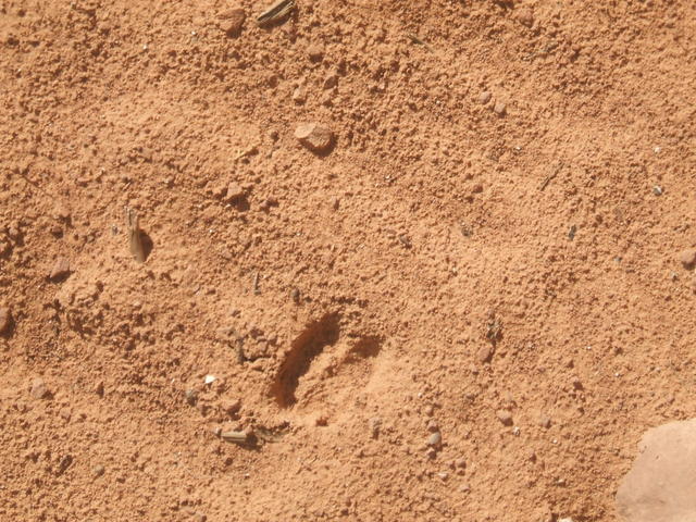 DSCF0543