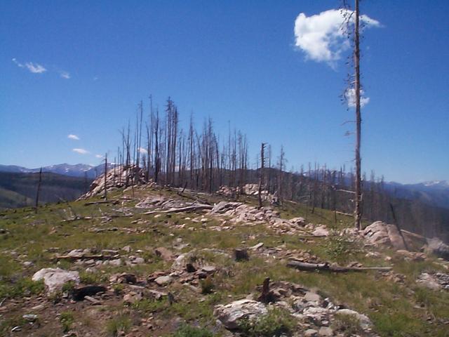 DCP00930