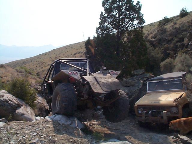 DCP00944