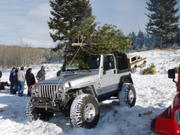 Tree Run (16)