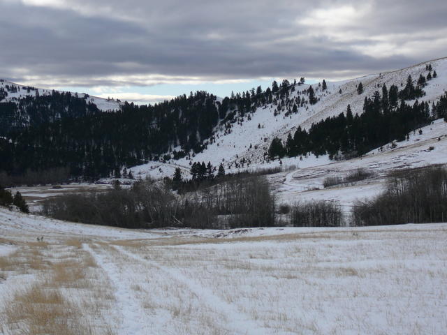 P1150583