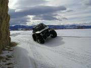 Picture 006