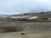 DSCF0005