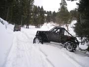 Picture 006