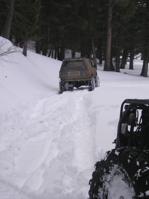 Picture 007