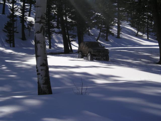 Picture 009