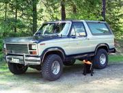 Doug's (WD40) '85 Bronco:
General pics