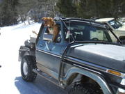 2008_0330woodchute0004