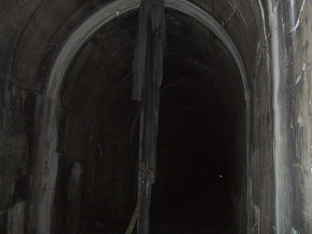 2008_0330woodchute0010