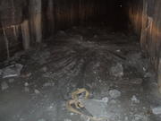 2008_0330woodchute0012