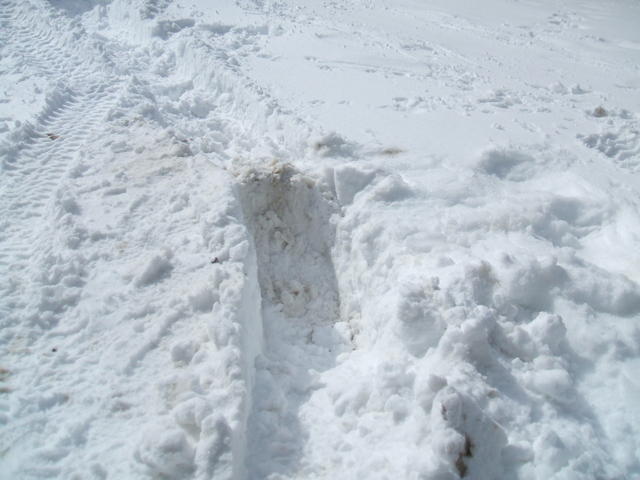 2008_0323mullan0019