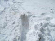 2008_0323mullan0019
