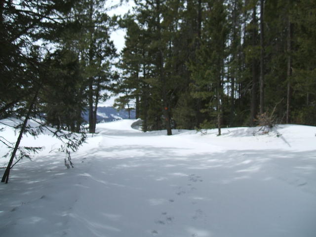 2008_0323mullan0022