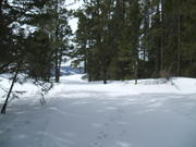 2008_0323mullan0022