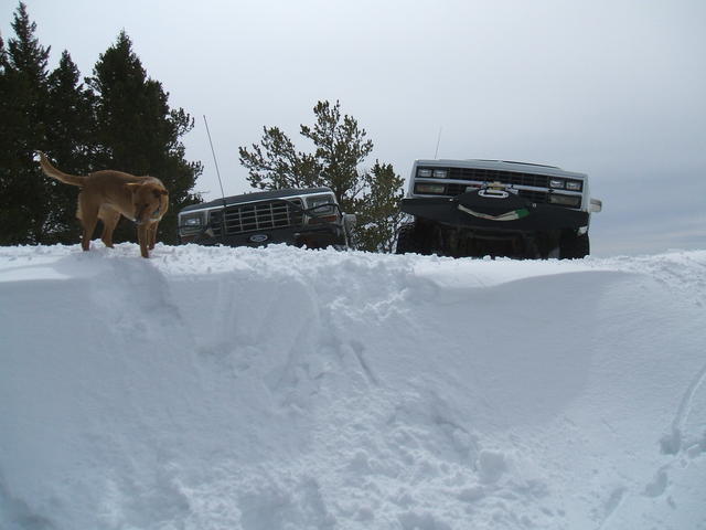 2008_0323mullan0025