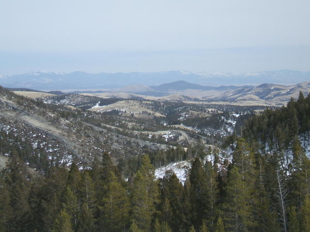 2008_0323mullan0028