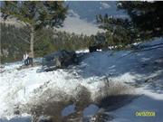 shawna smith stuck