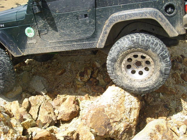 DSCI0097