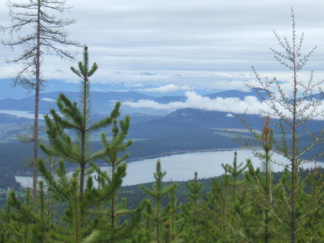2008_0525wildbillOHV0023