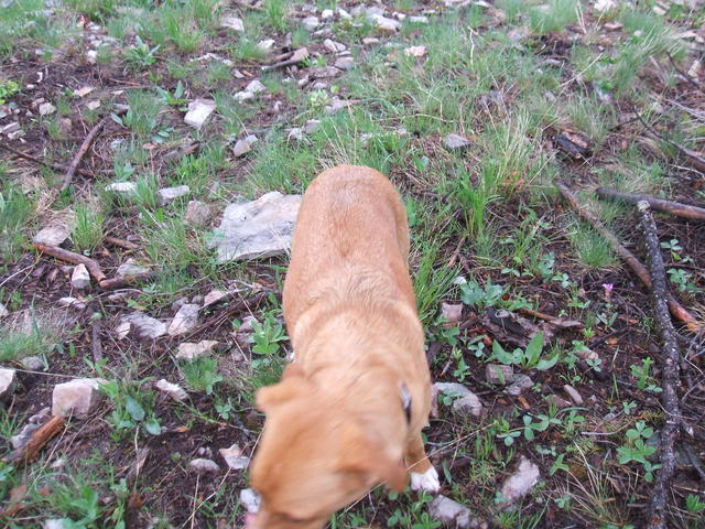 2008_0525wildbillOHV0033