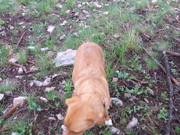 2008_0525wildbillOHV0033