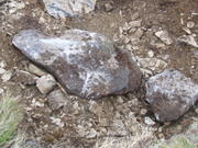 2008_0525wildbillOHV0048