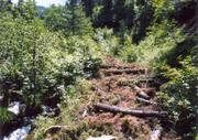 land use 08