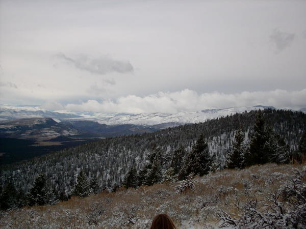 trailride 006