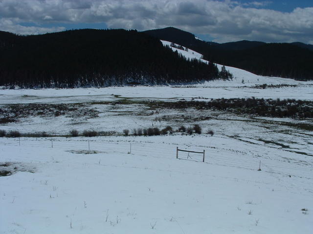 DSCF0073