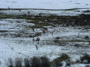 DSCF0074