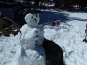 DSCF0086