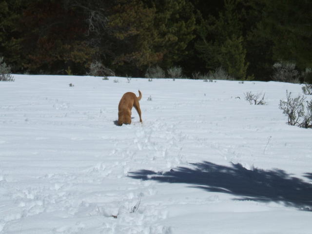 2008_0614fathersday20080027