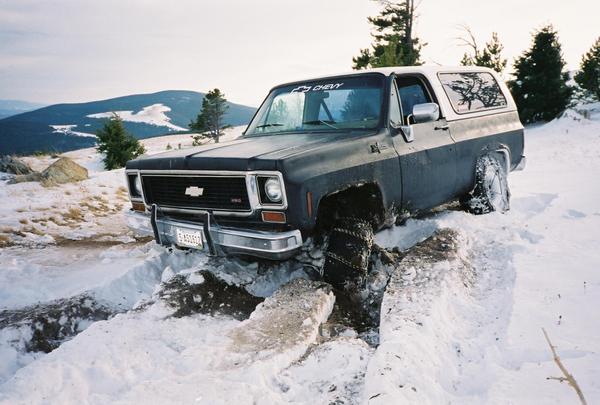 dog creek 03