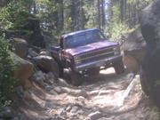82 chevy