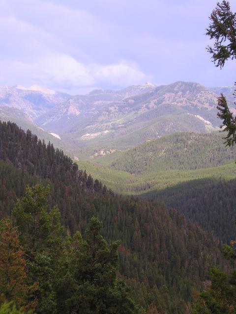 P1010005