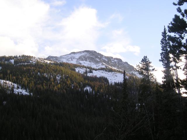 P1010008