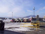 The Toyota/Ford Dealership crowd