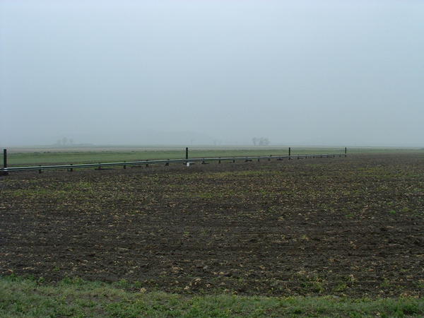 DSCF0035